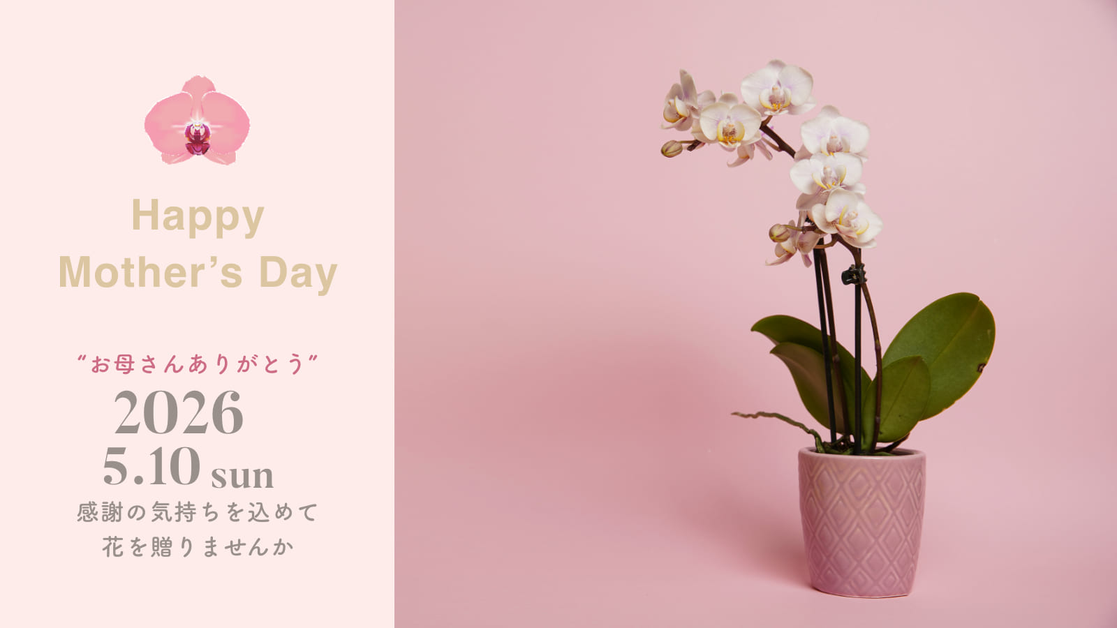 プロモーションバナー