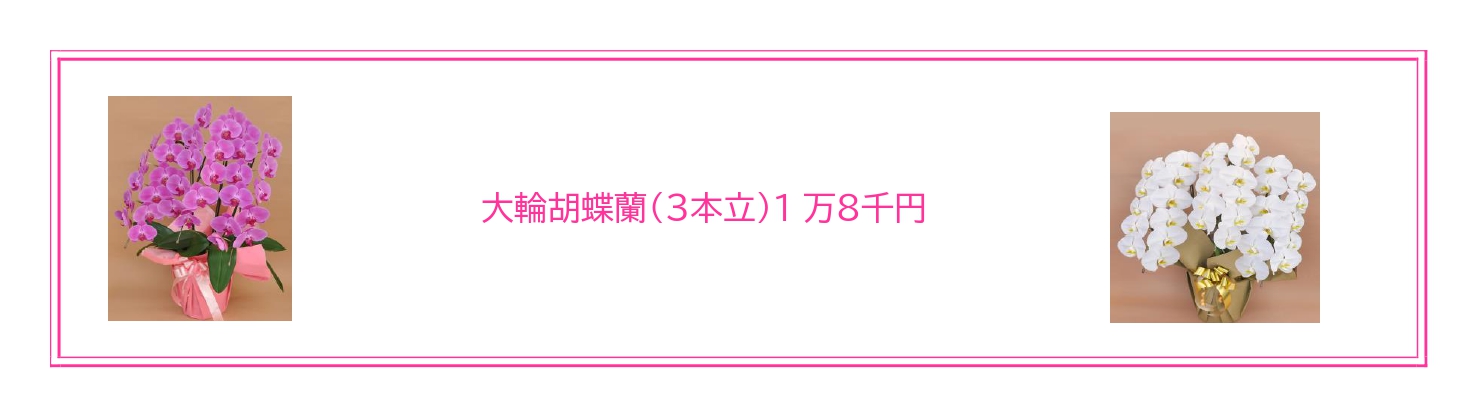 還暦祝いにふさわしい胡蝶蘭