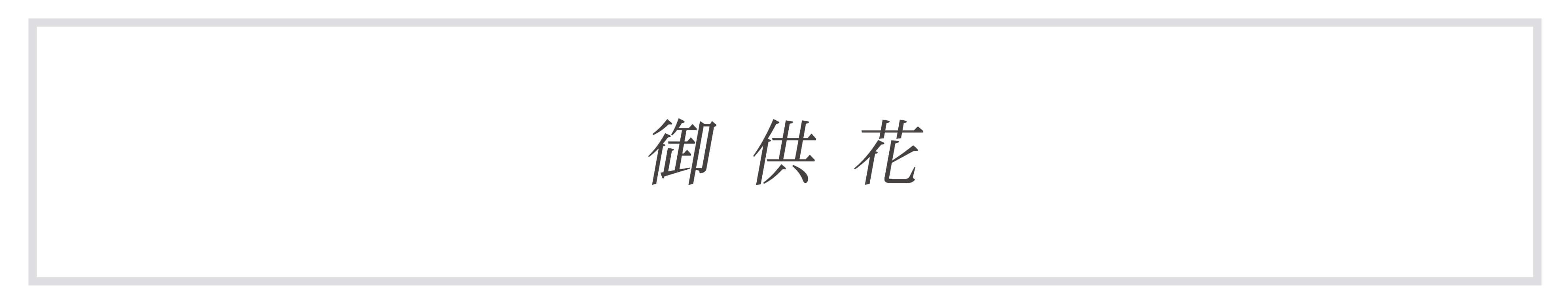 葬祭に最適な胡蝶蘭