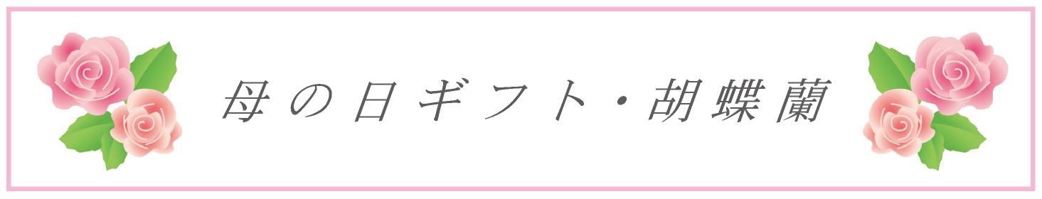 母の日に最適な胡蝶蘭