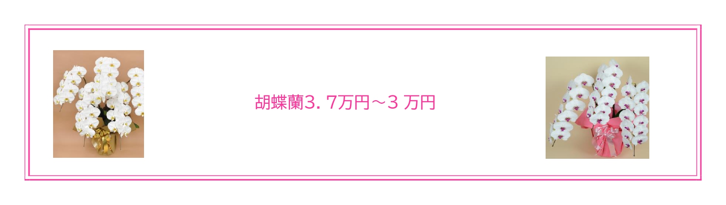新社屋完成・移転祝いにふさわしい胡蝶蘭